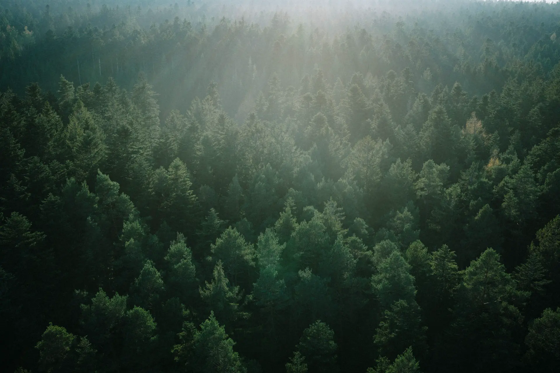 La Biosthetique Friseur Klimaschutz 1 5 Grad Salon Target 1
